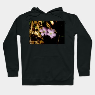 Sundew Twins Hoodie